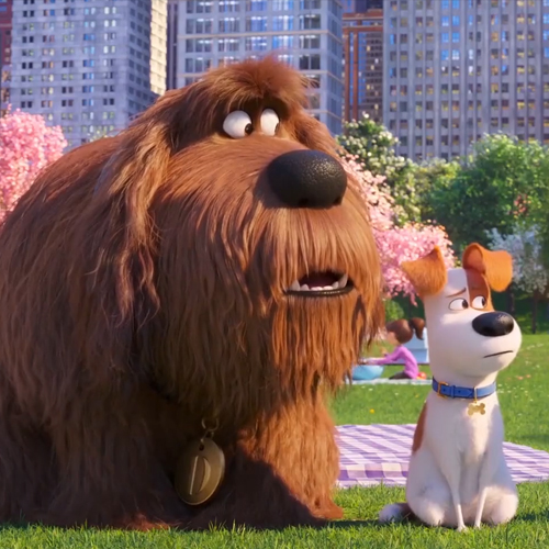Secret Life of Pets 2